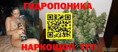 амф Гусь-Хрустальный