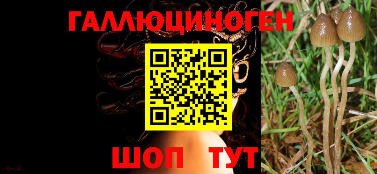 наркошоп  Вход с VPN  Кулебаки  Псилоцибиновые грибы прущие грибы 